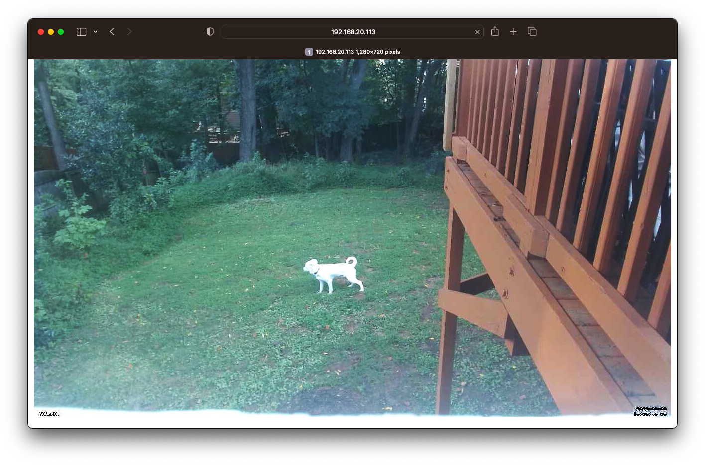 Still of Backyard from the RPi/USB Security Cam
